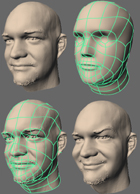 A generic head model is fit to a Cyberware scan with 300k triangles.  The resulting subdivision surface is edited to create a new facial expression.