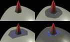 Linear (left) and Butterfly (right) spherical scaling functions (top) and wavelets (bottom)