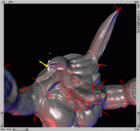 Multiresolution Editor