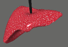 Virtual surgery: using adaptive resolution to achieve 
realtime animation