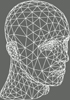 Level 0 mesh of subdivision
