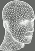 Level 1 mesh of subdivision; each triangle is split into 4